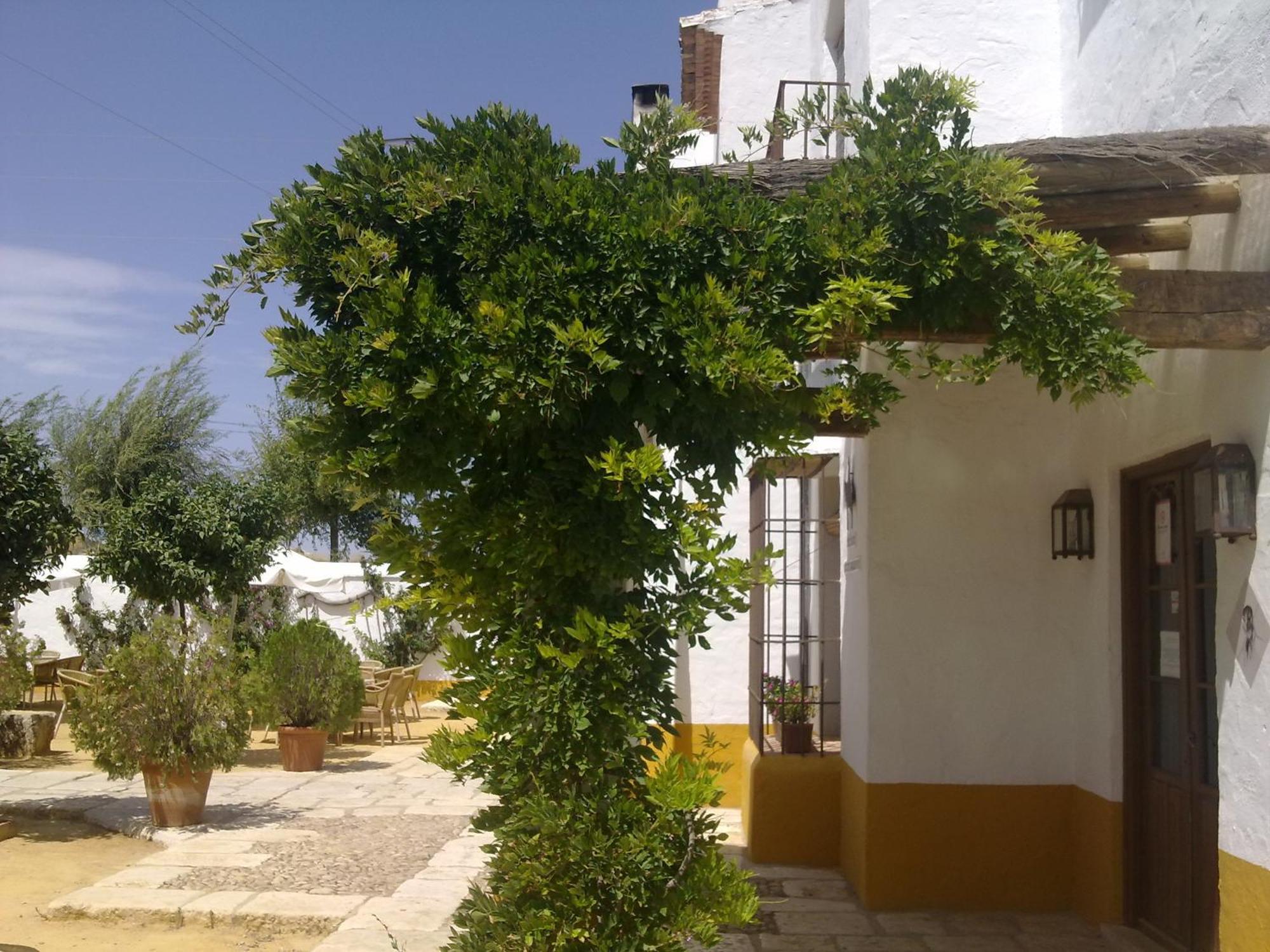 Posada De Jose Mª El Tempranillo Alameda Exterior foto